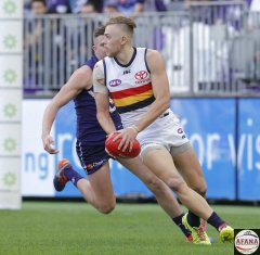 Hugh Greenwood of the Adelaide Crows looks to pass the ball
