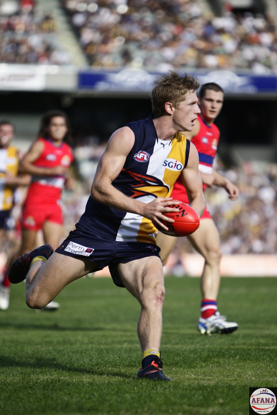 Selwood In Action
