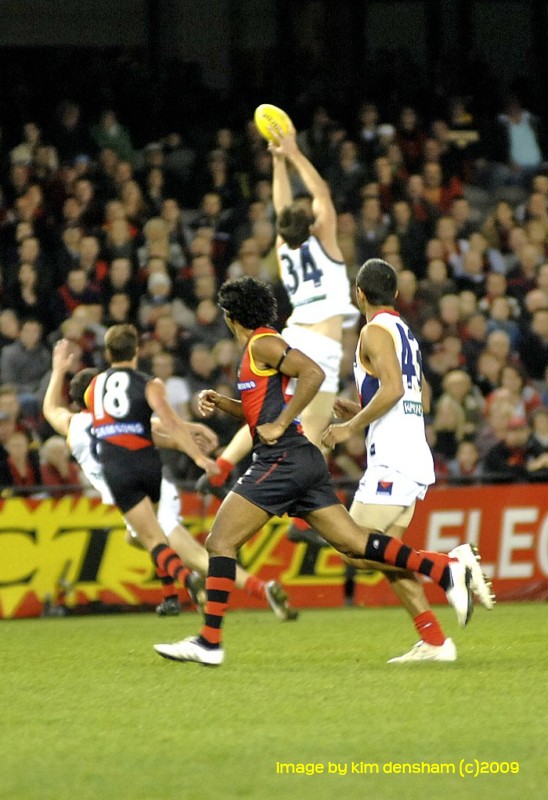 Melbourne's Stefan Martin stands tall in defence