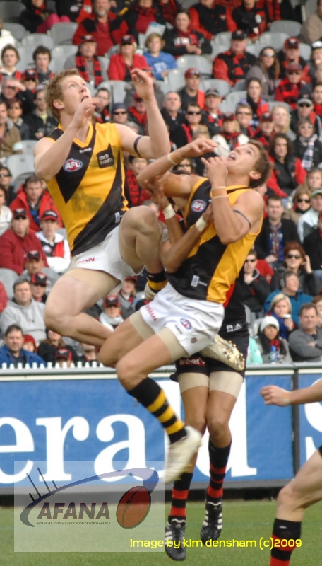Riewoldt and Hislop