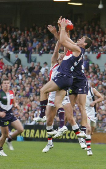 Another Silvagni