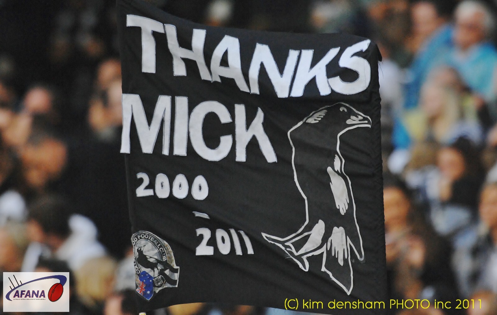 Thanks Mick