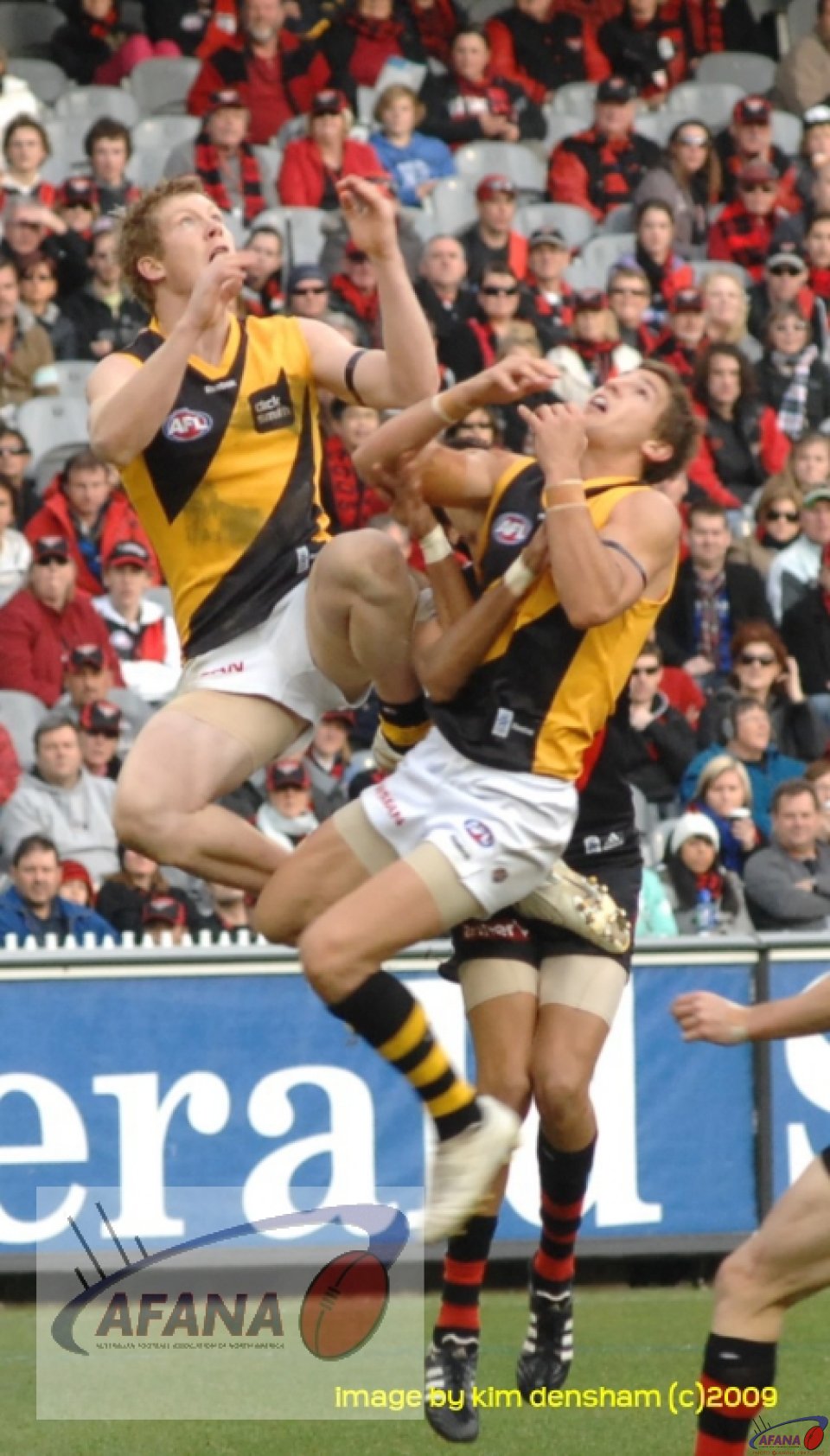 Riewoldt and Hislop