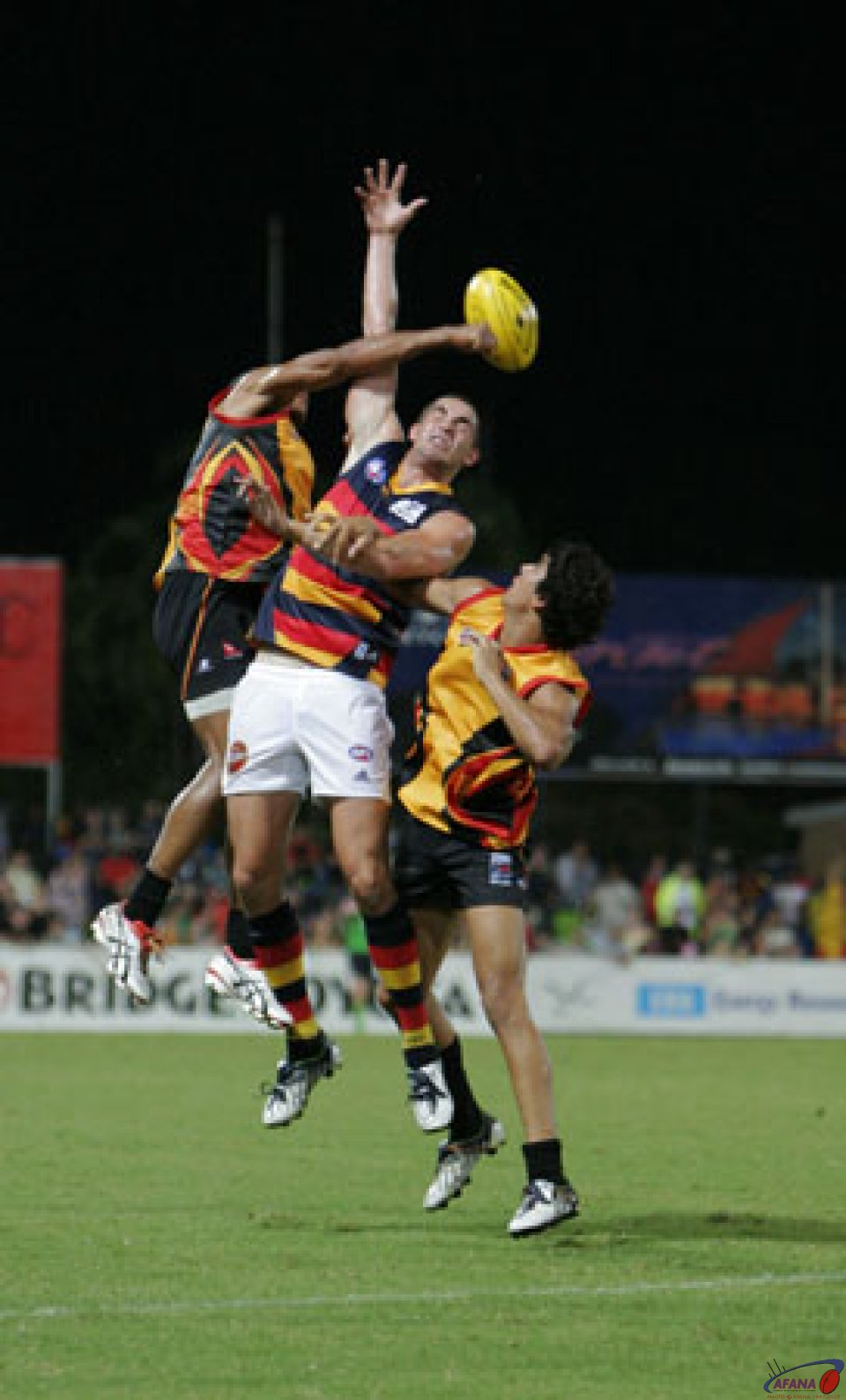 All Stars All Over Crows