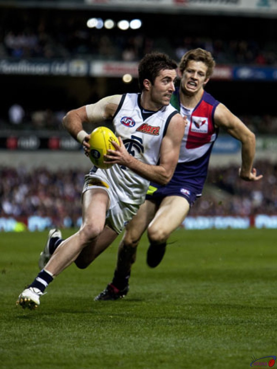 Simpson And Fyfe