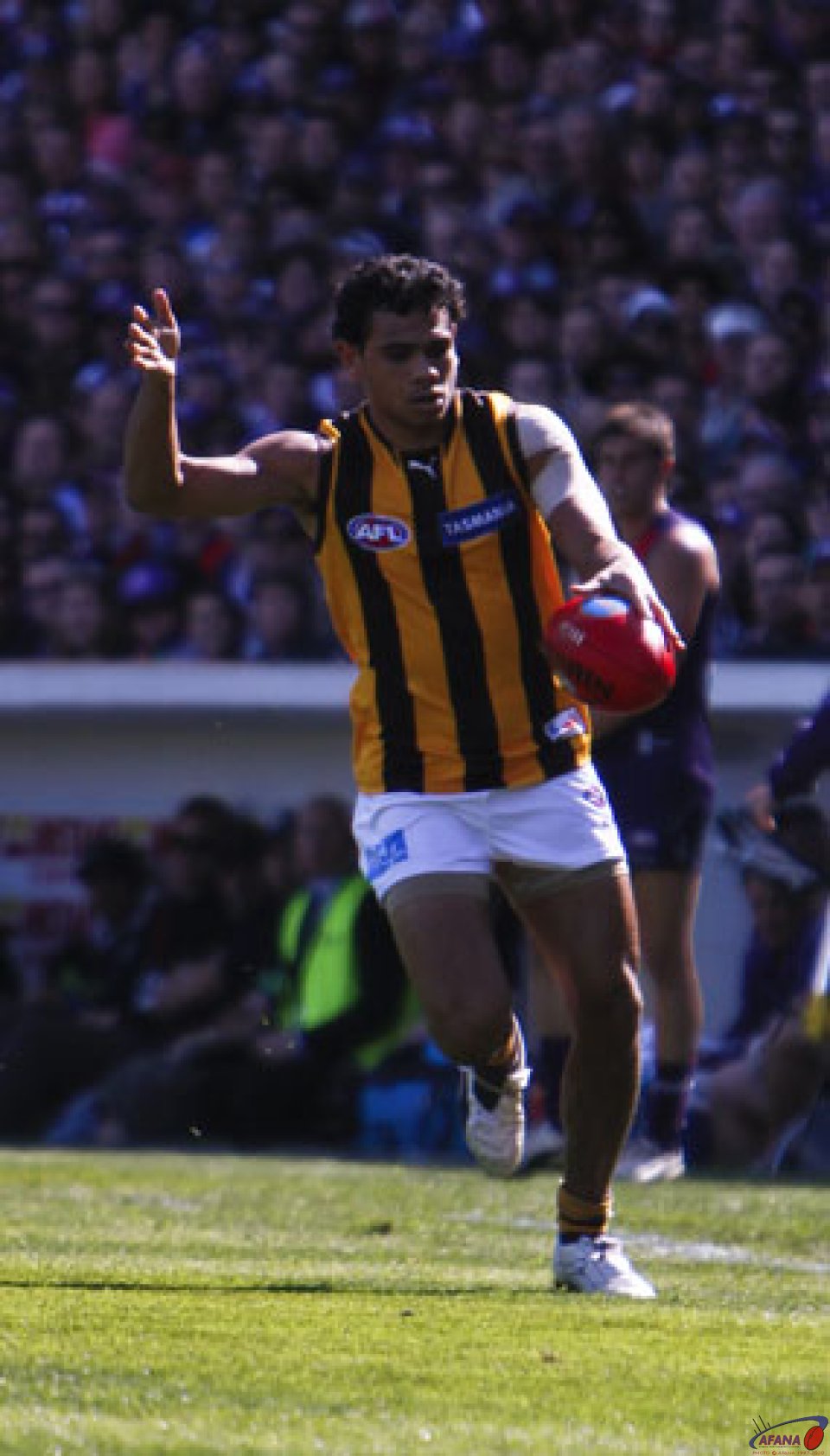 Rioli On The Wing