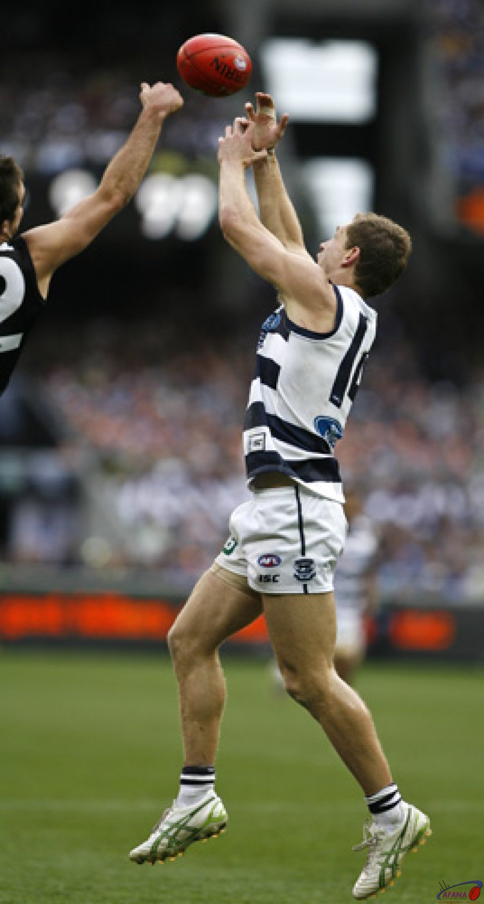 Selwood Contests