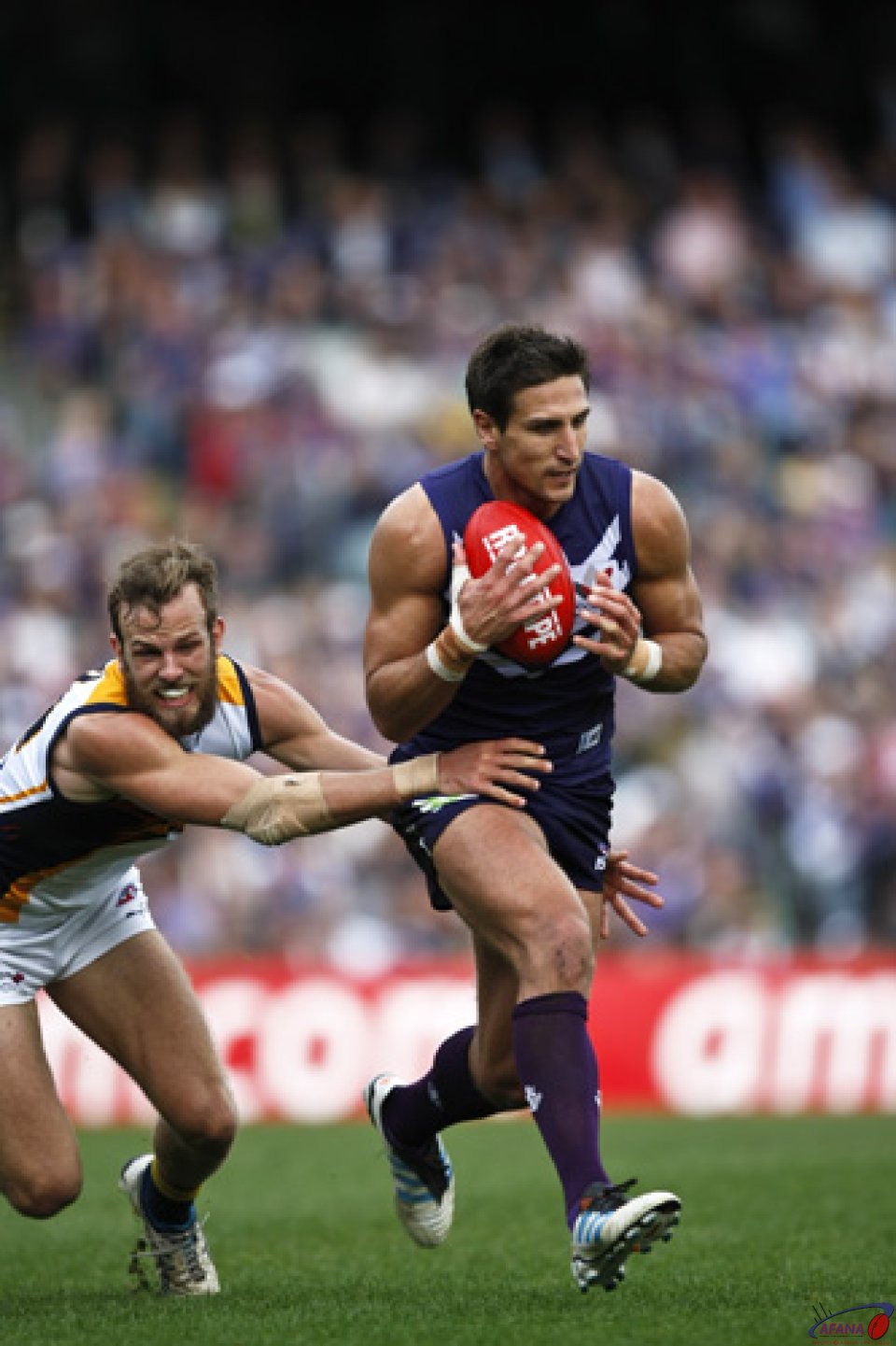 Pavlich The Great