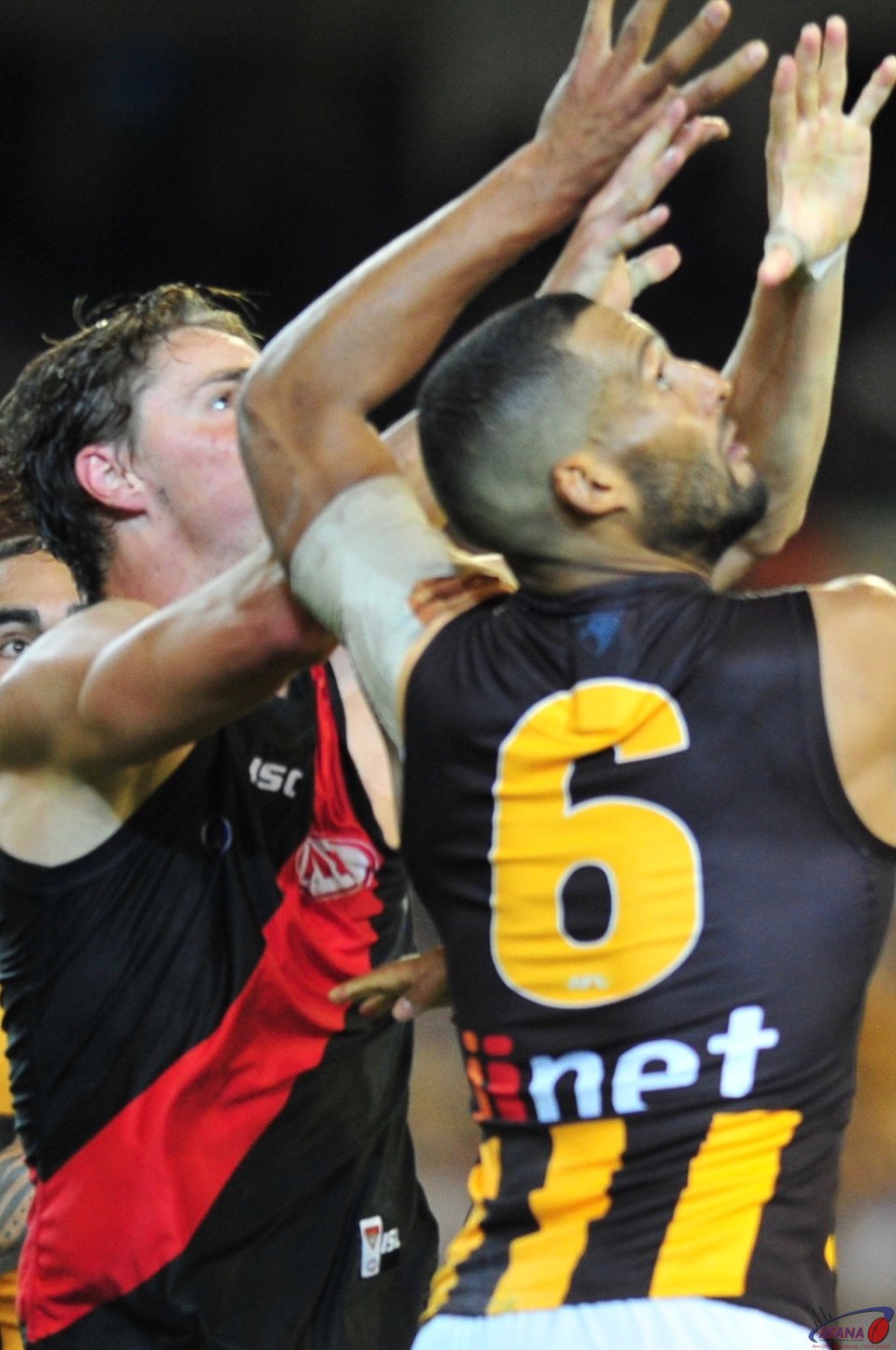Gibson and Daniher go for the ball