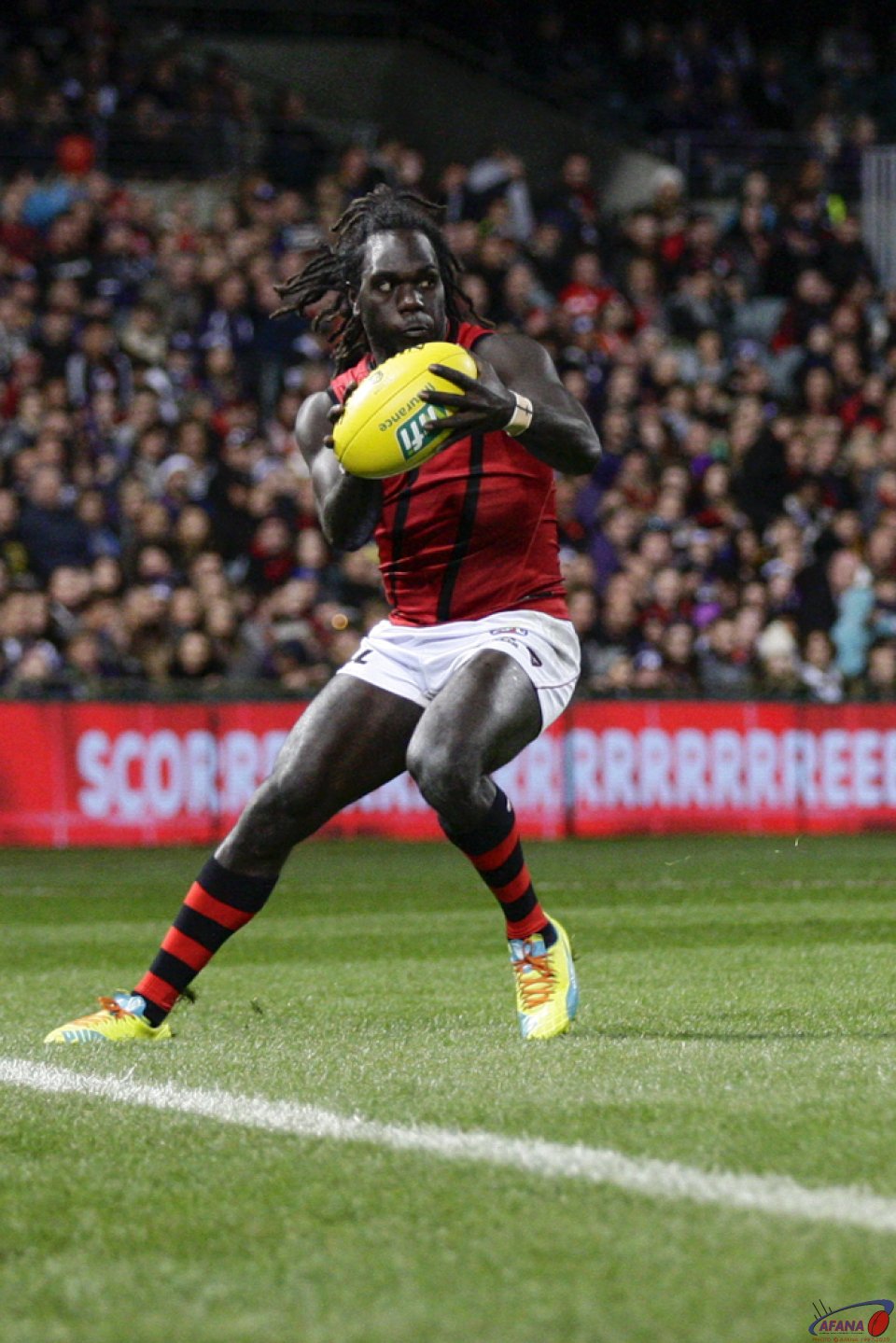 Tipungwuti Collects
