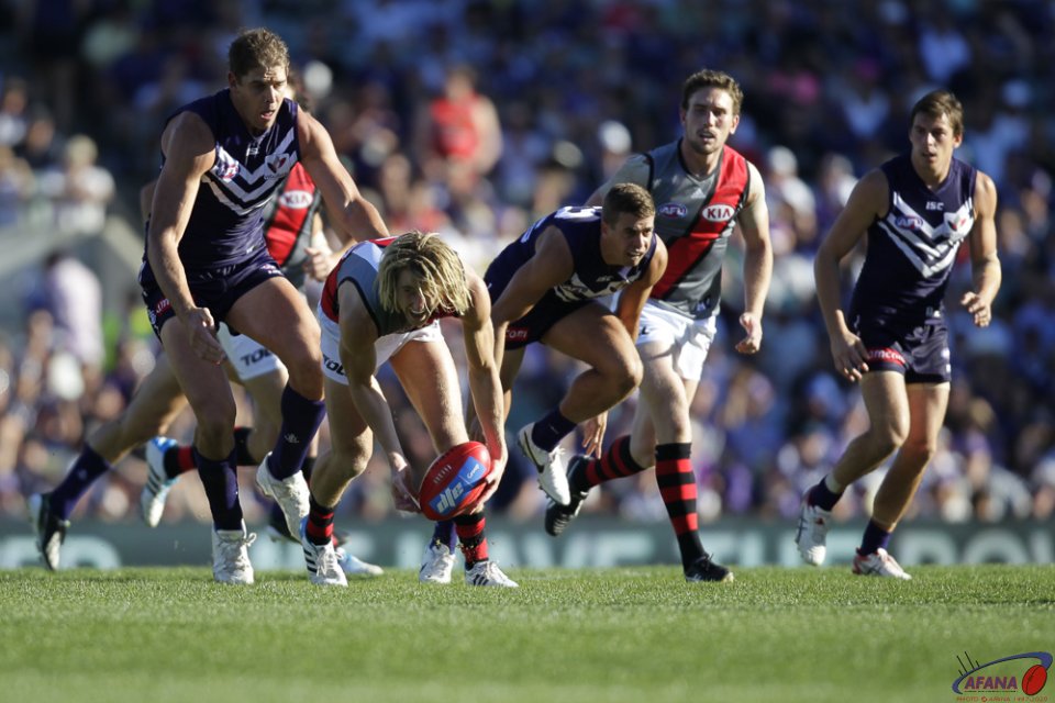 Heppell Gathers