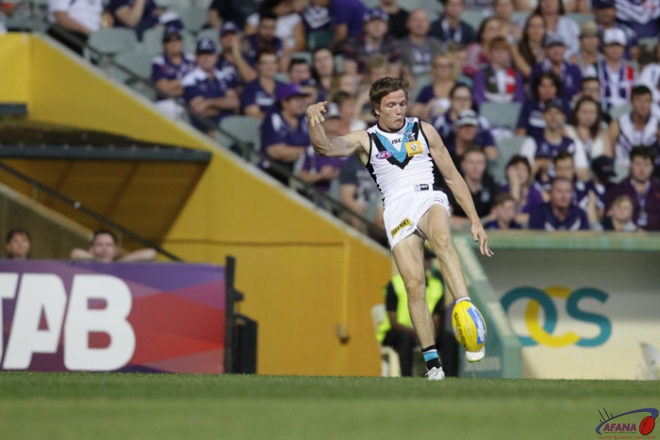 Polec Clears