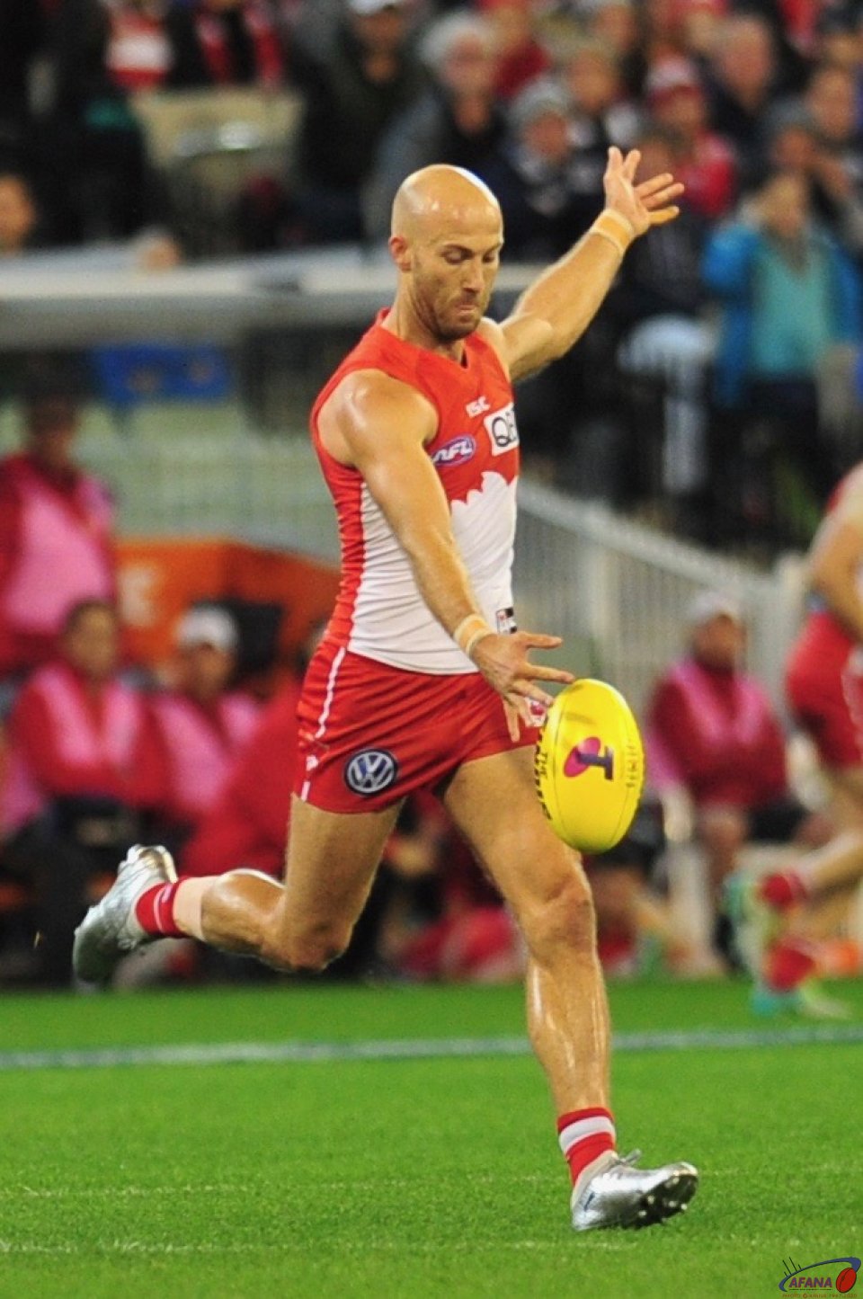 McVeigh shows his form in his 300th AFL Match