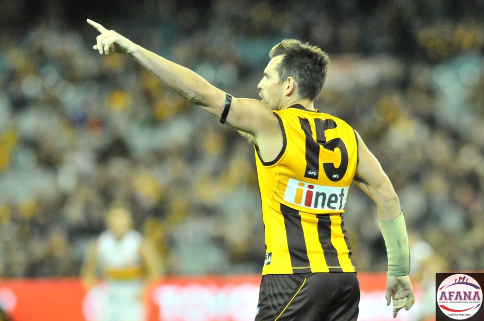 Luke Hodge directing traffic in the dying minutes of the game