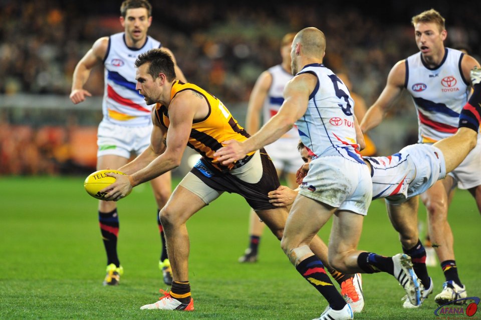 Hodge besieged by Crows