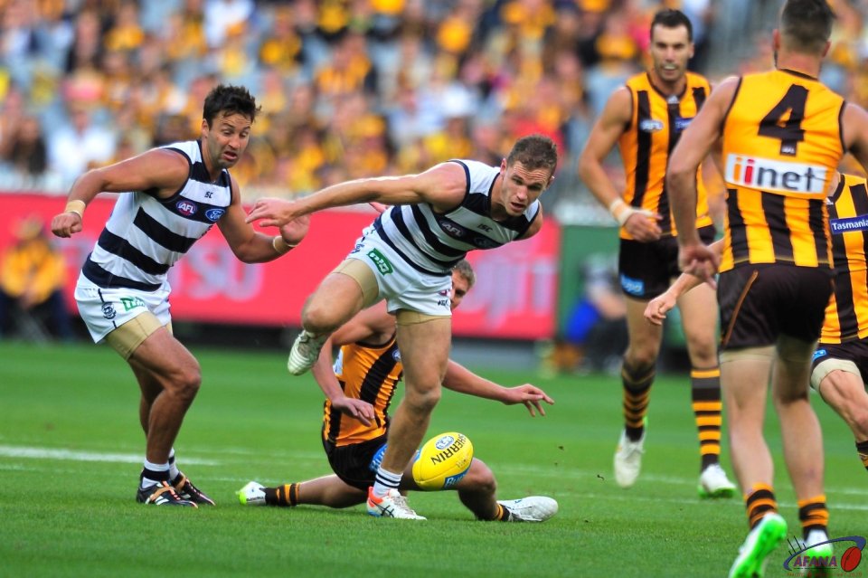Joel Selwood with James Bartell in support chase the loose ball as Matthew Suckling (4) gets ready to pounce.