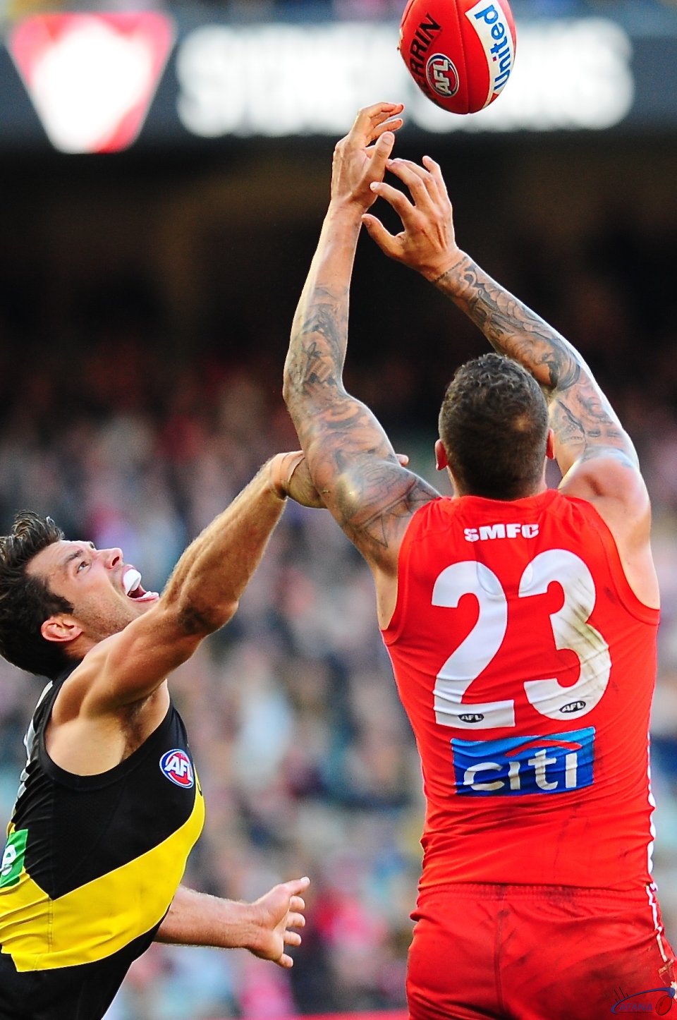 Buddy marks as Rance contests