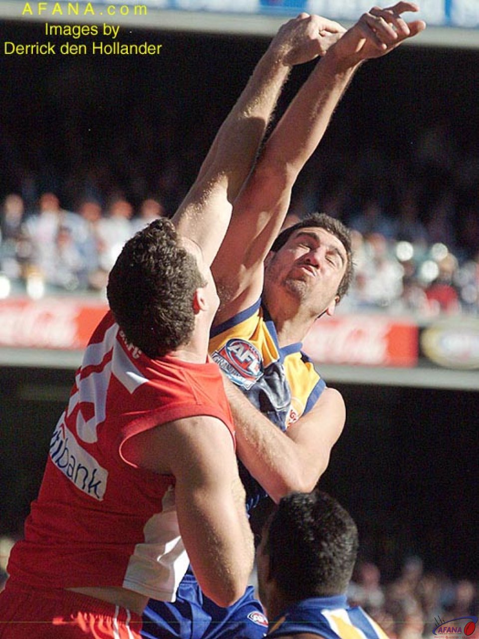 [b]The two giant ruckmen from both sides contest a boundary throw in[/b]