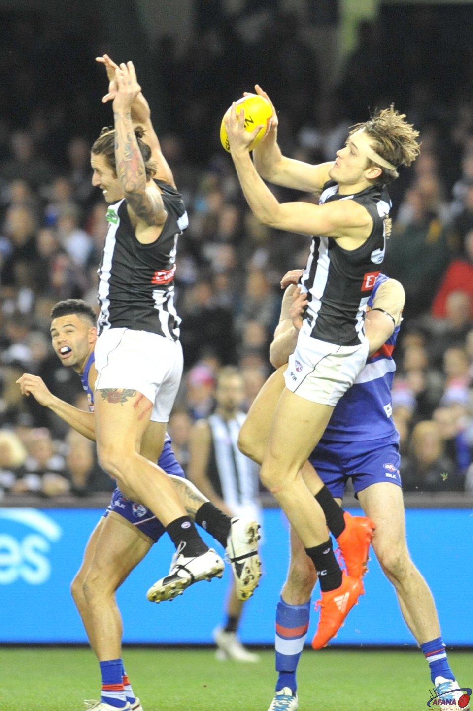 Jesse White misses , Darcy Moore Hold the mark