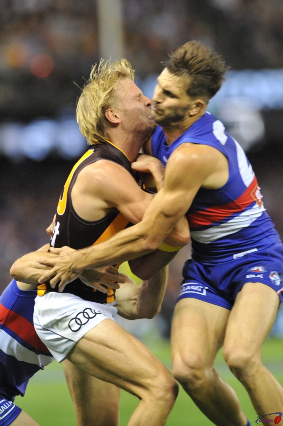 Wil Langford and Koby Stevens clash