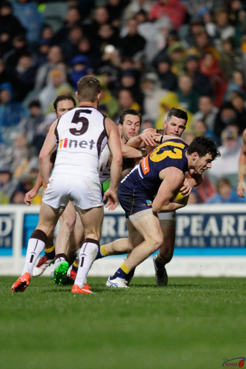 Shuey Busts Out