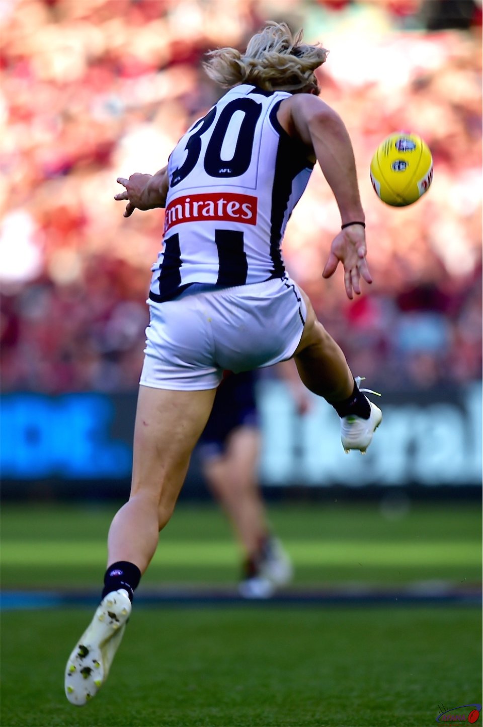 Darcy Moore clears
