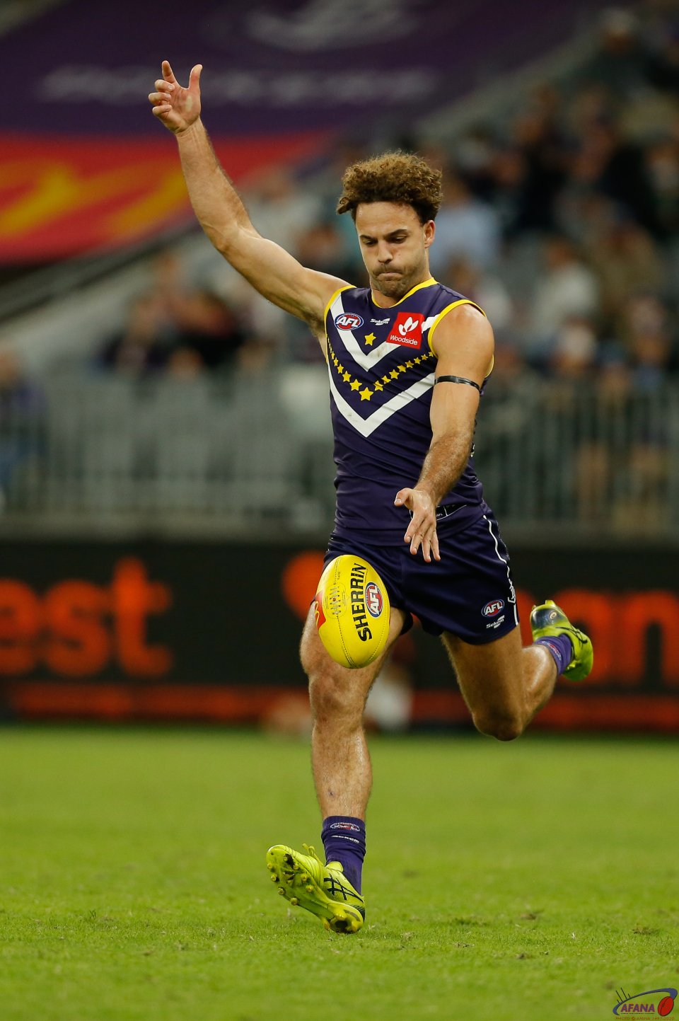 Logue clears for the Dockers