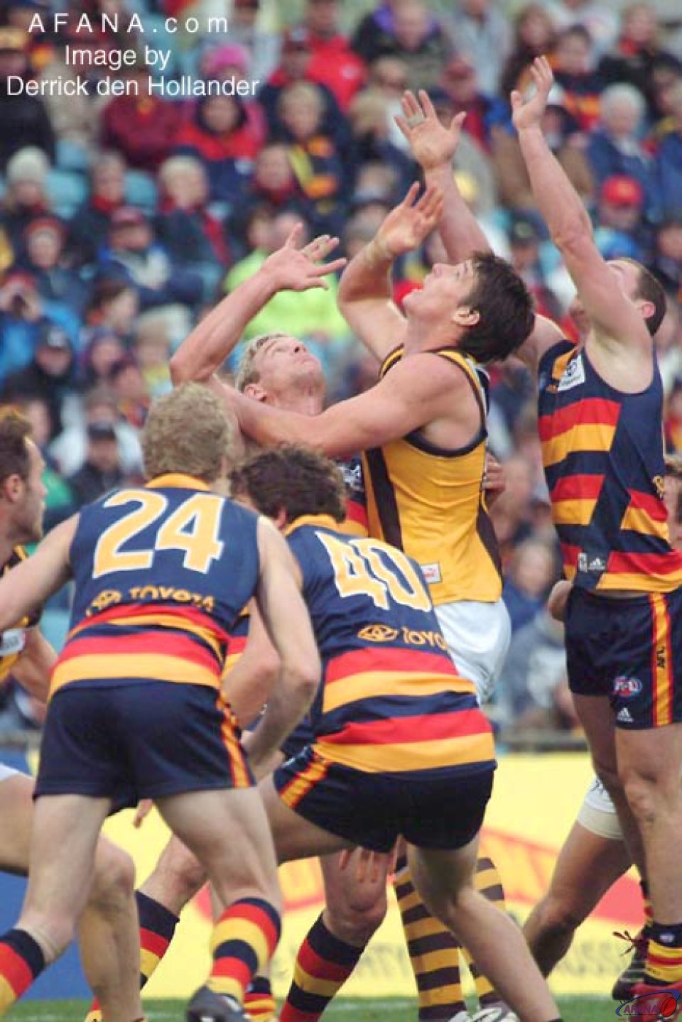 [b]A hotly contested ariel posession, Hawthorn-v-Adelaide[/b]