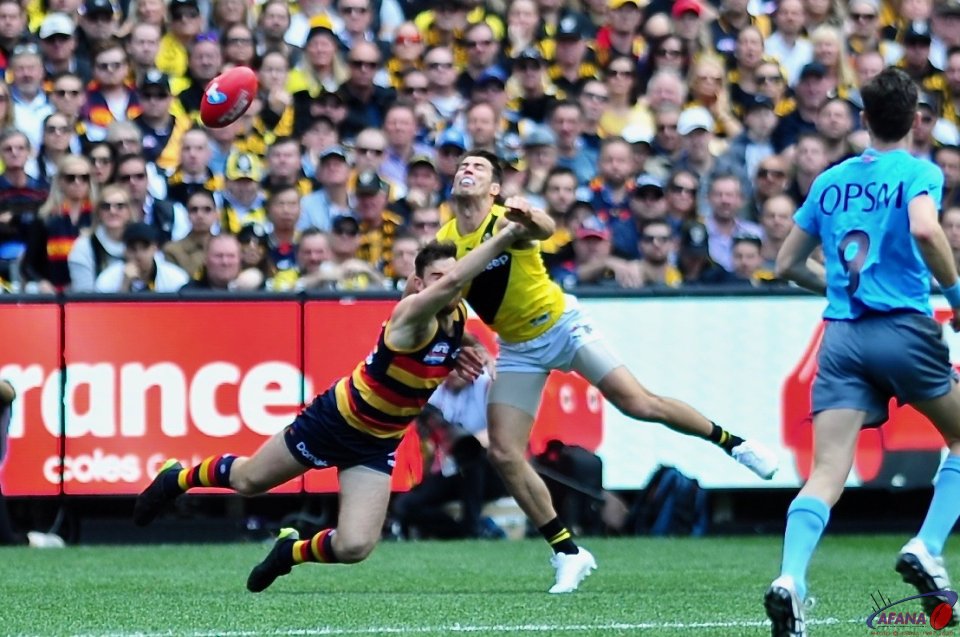 Alex Rance back line general intercepts another ball in.
