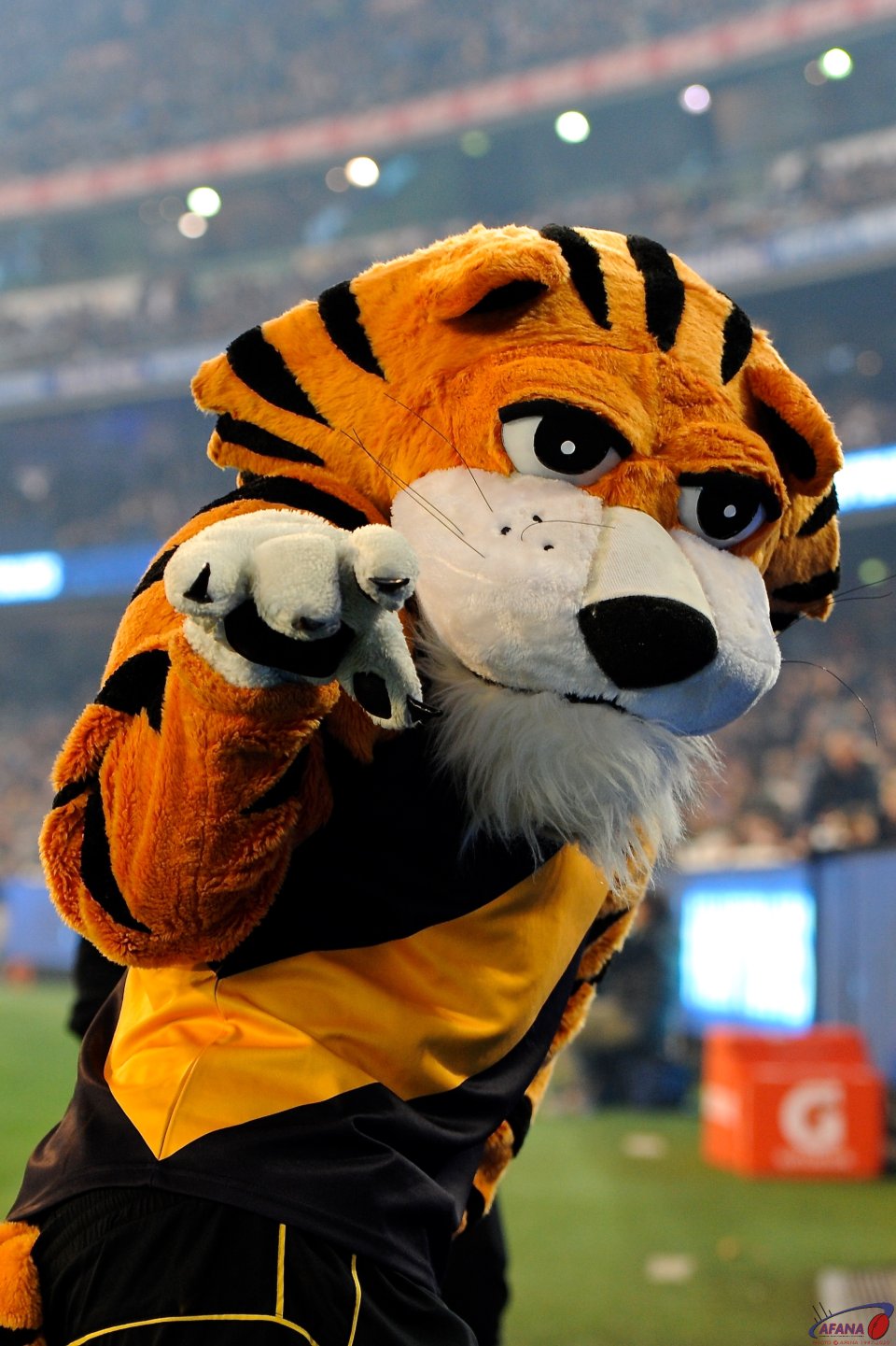Tiger Stripes Dyer the Richmond mascot