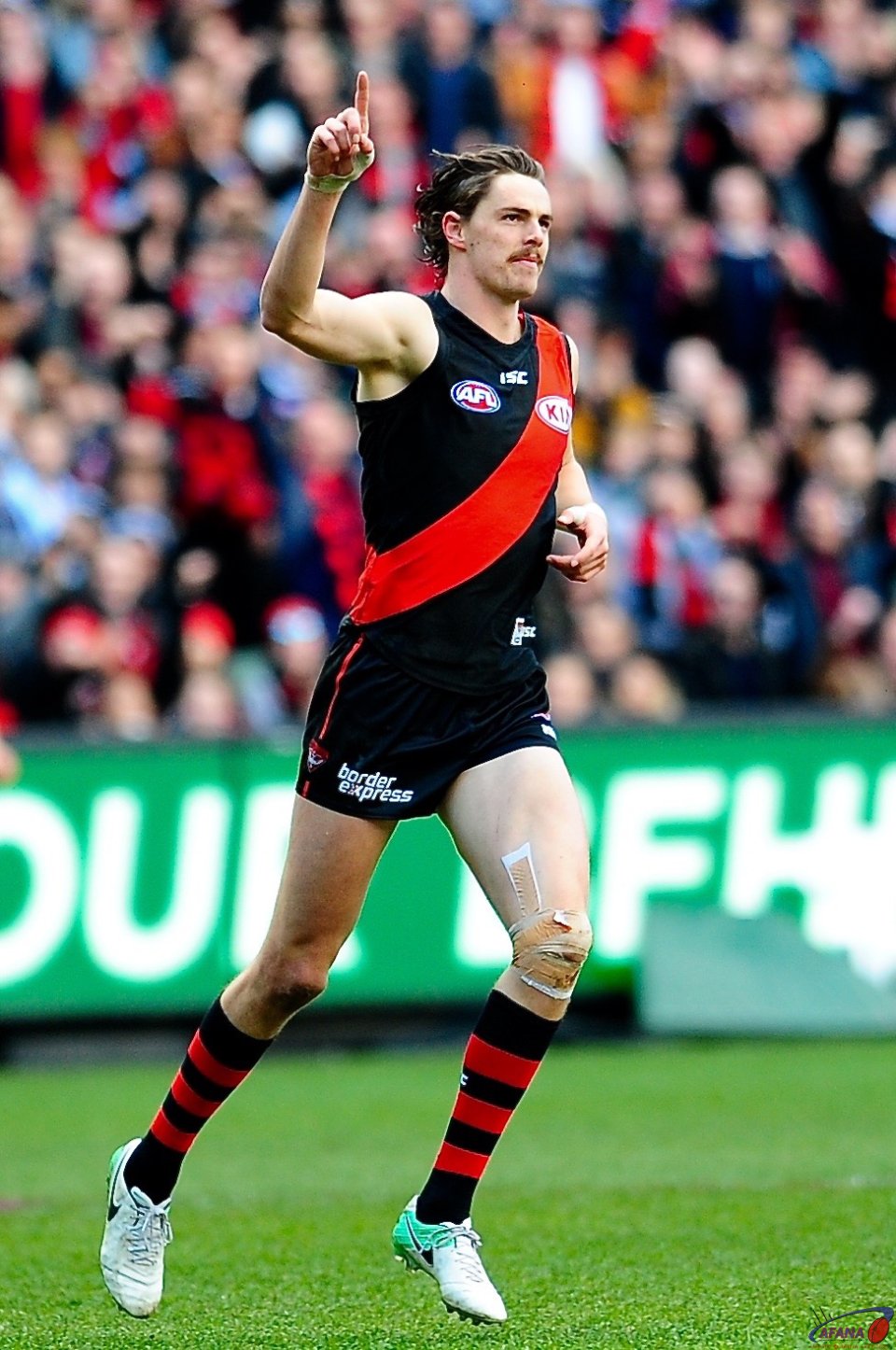 Daniher leads the Coleman with this goal