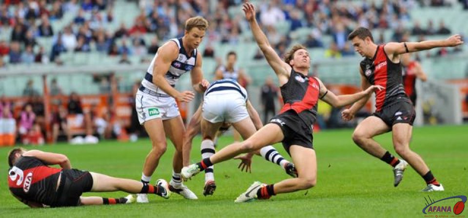 Essendon Cats carnage in the midfield contest