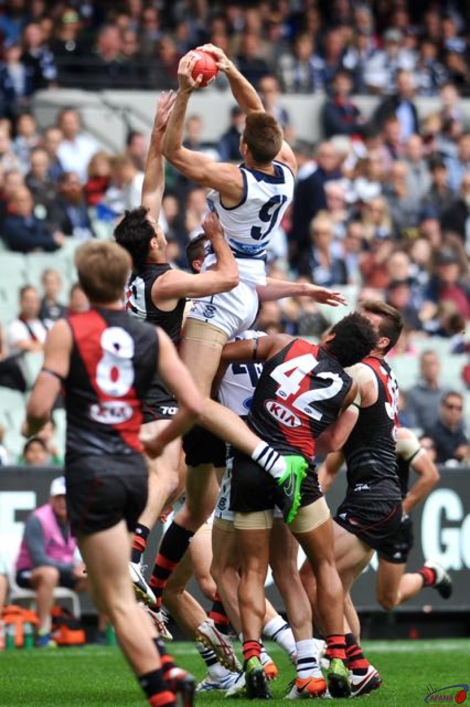 Zac Smith (9) takes a contested mark in the Cats forward fifty