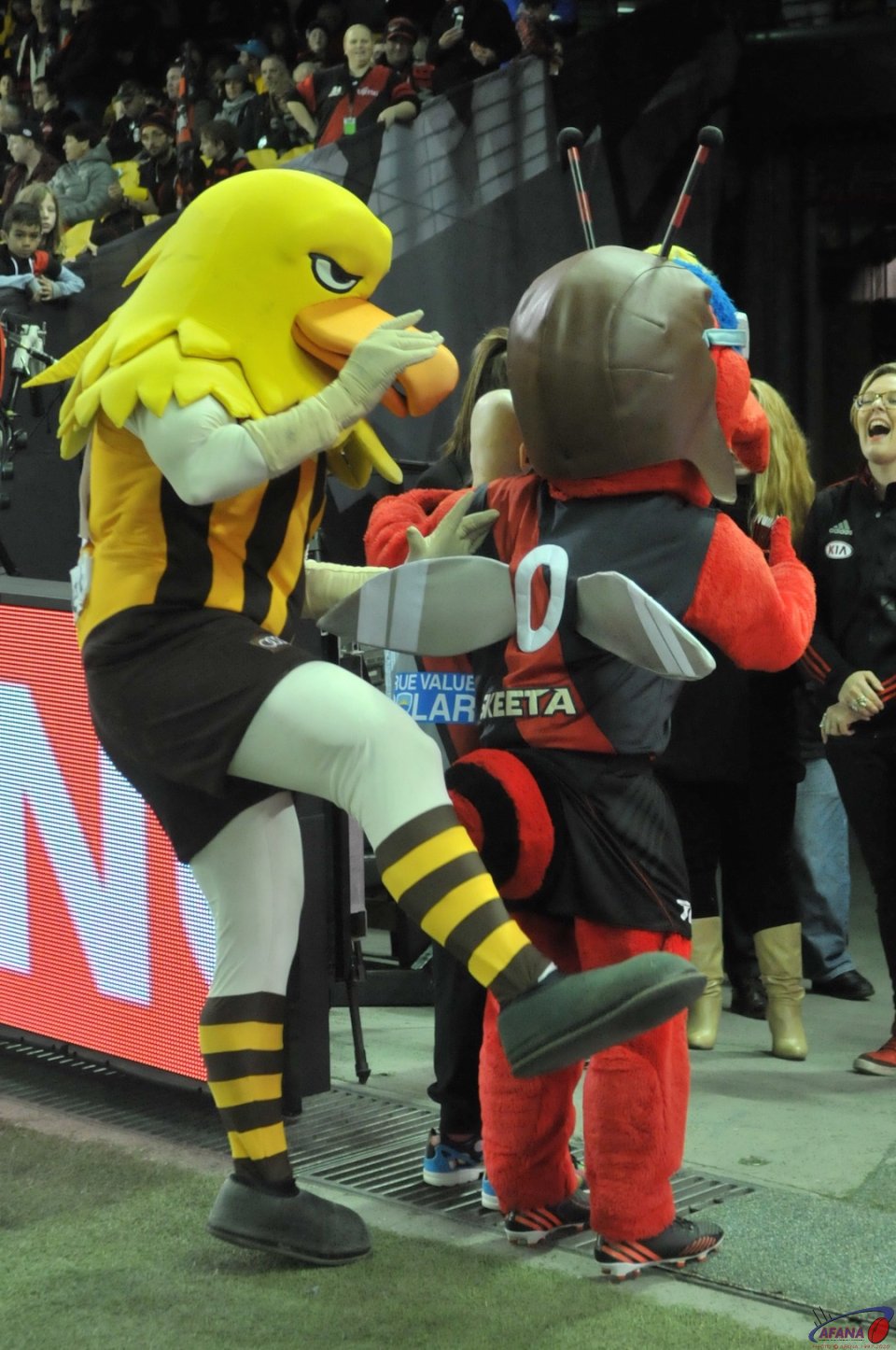 Sign of things to come, Mascot wars, with Hawker spanking Skeeta