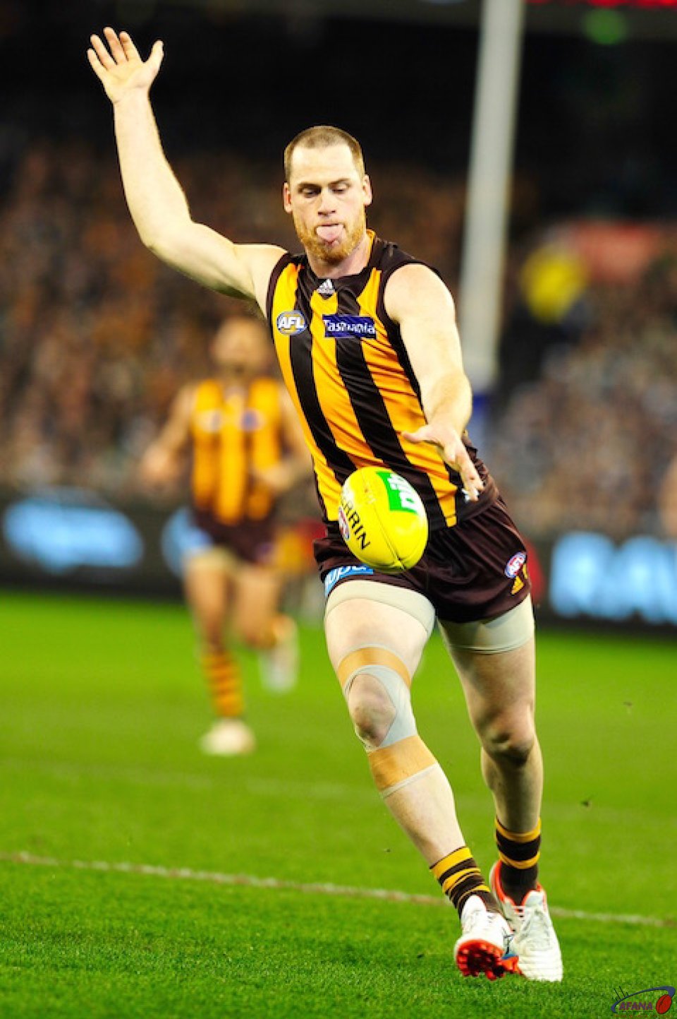 Roughead goes for goal