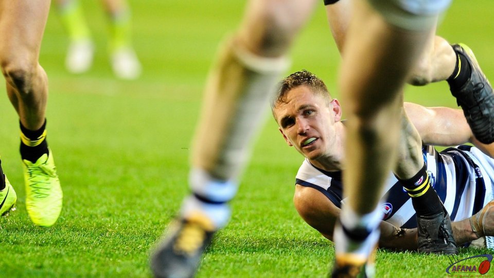 Selwood agonising look as the game slips away from the Cats
