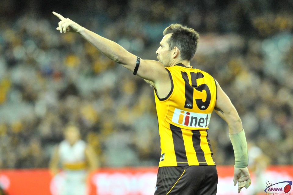 Luke Hodge directing traffic in the dying minutes of the game