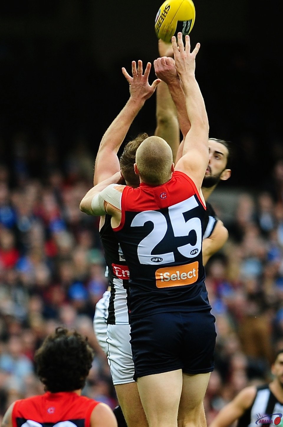 Tom McDonald and Brodie Grundy contest the ball up