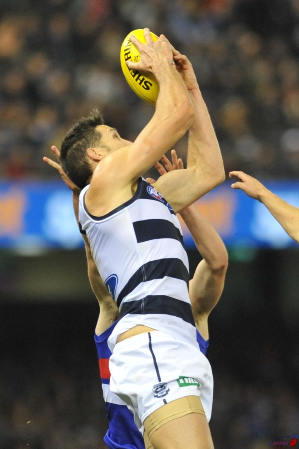 Harry Taylor outjumps the Bulldogs player to take a strong contested grab