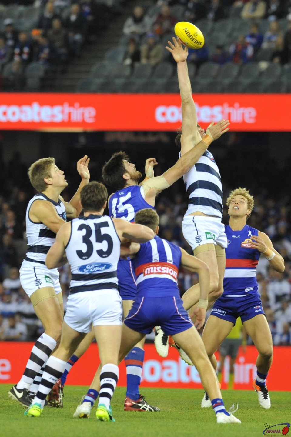 Mark Blicavs ruck tap out over Tom Campbell