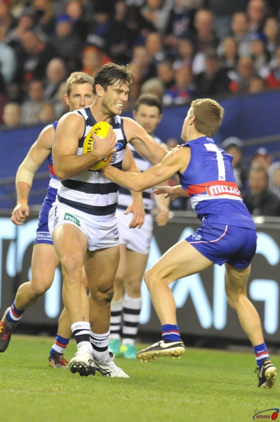 Tommahawk gives Lachie Hunter the fend off