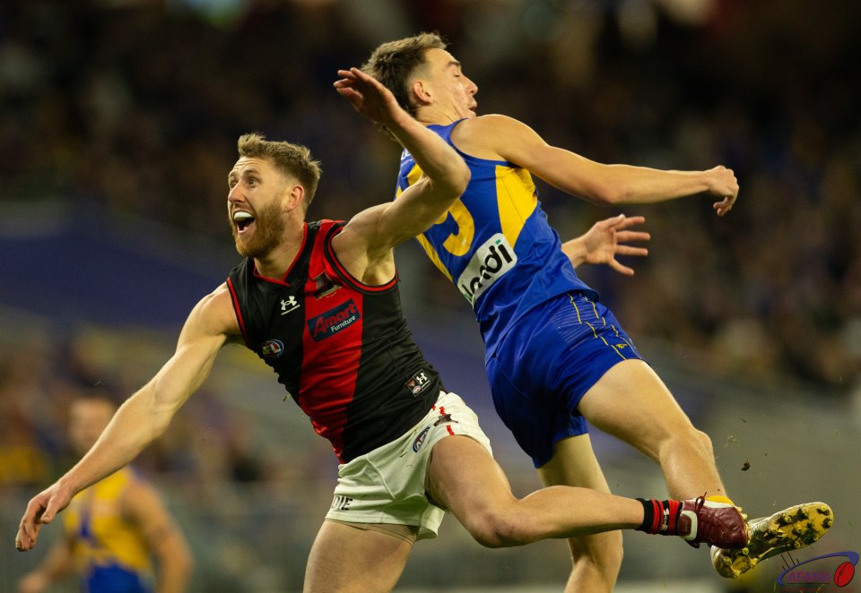 Dyson Heppell Spoils Hough