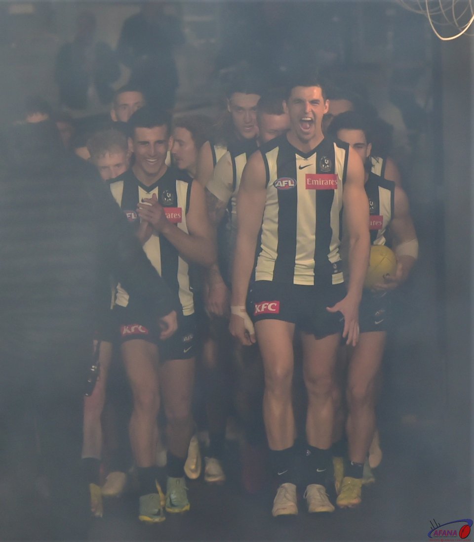 Magpies emerge from the players race