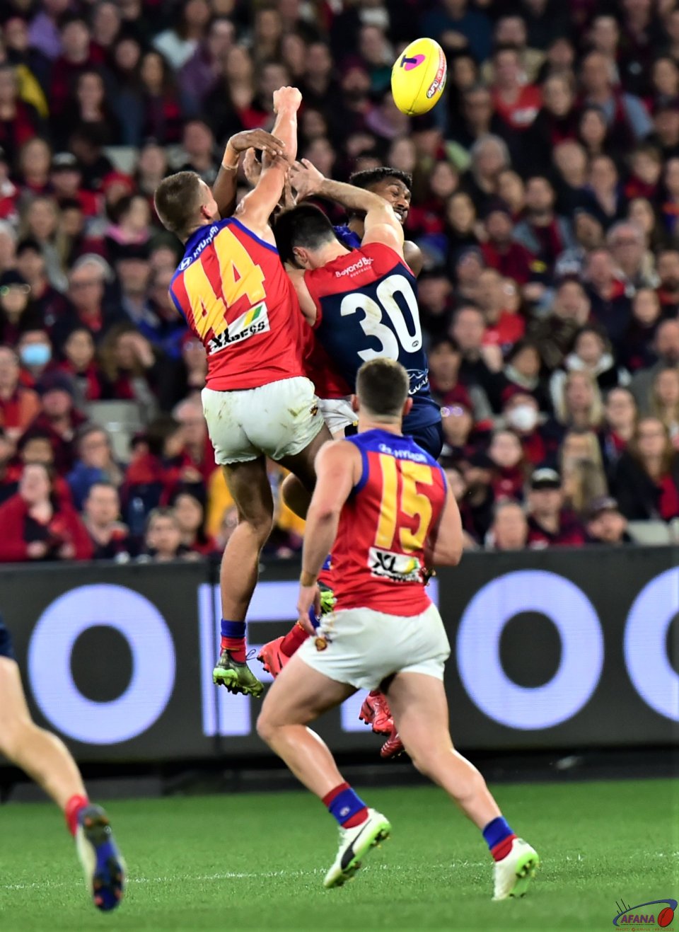 lions defend the Dees attack